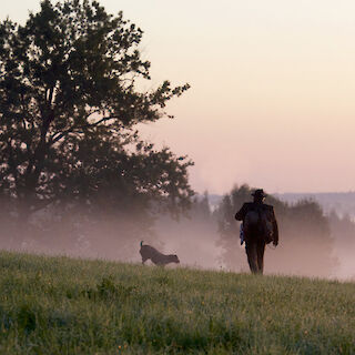 Frühmorgens auf der Jagd